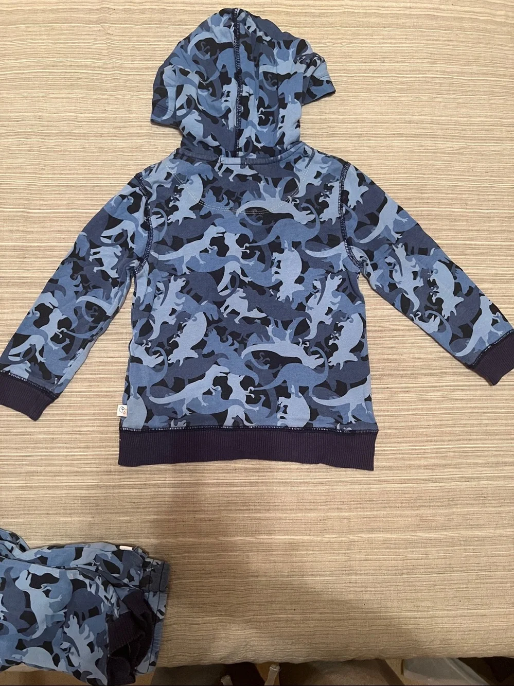 Flapdoodles Hoodie and Sweatpants Set